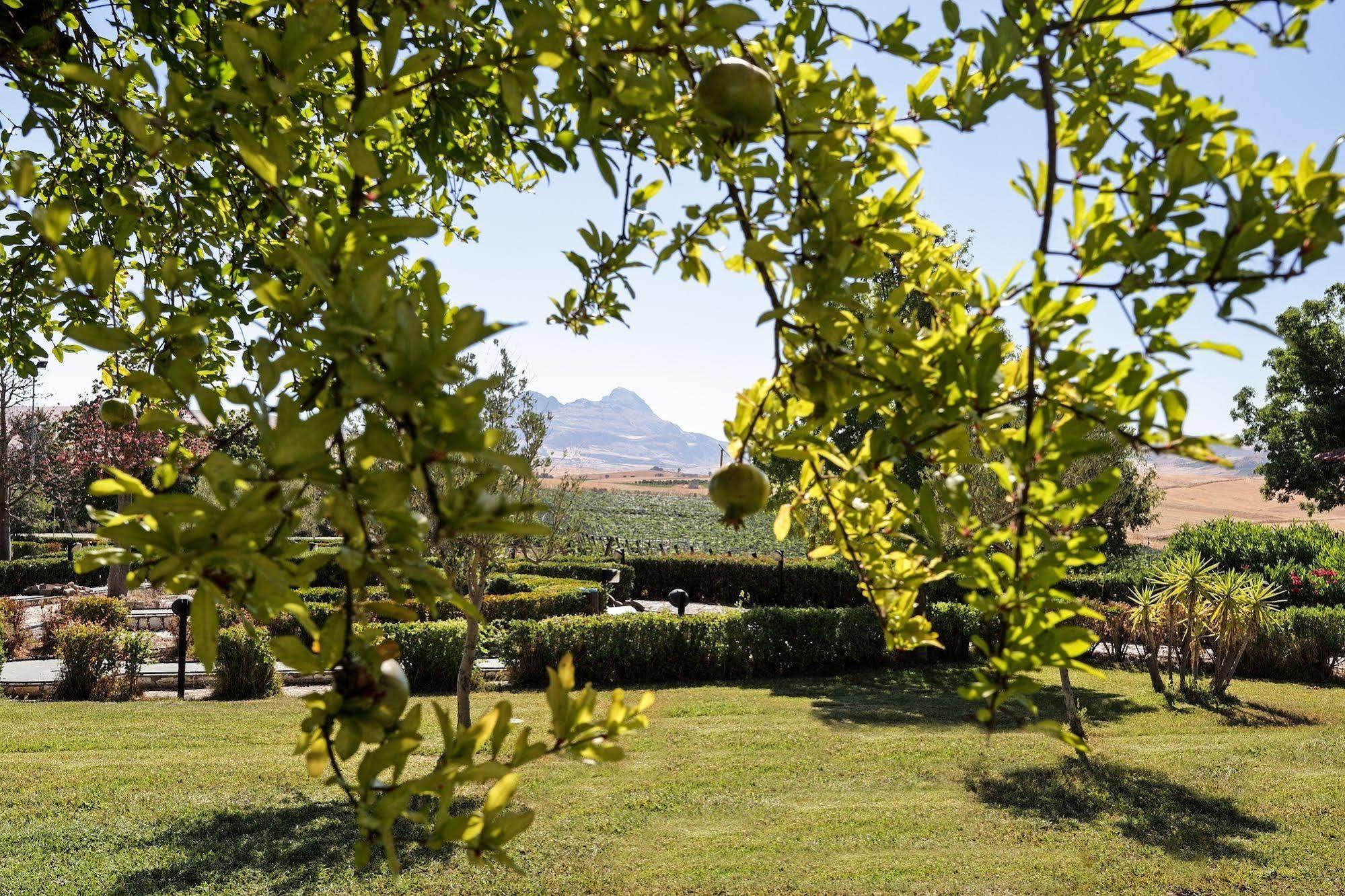Agriturismo Tenute Pollara Roccamena Luaran gambar